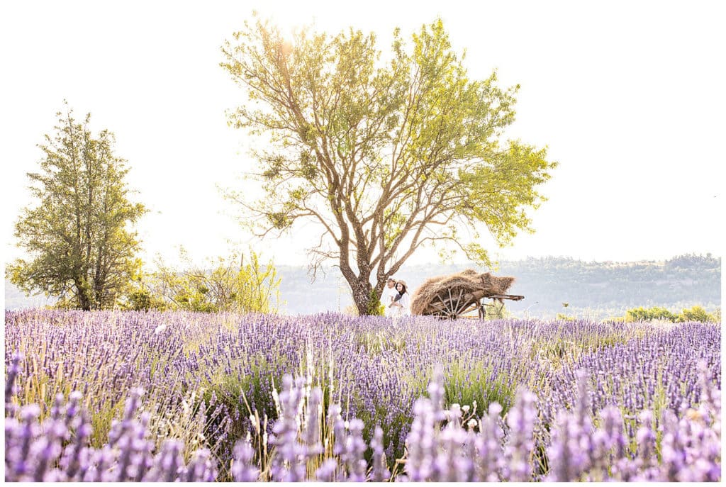 Lieux pour une séance photo en Provence : les champs de lavande de Sault