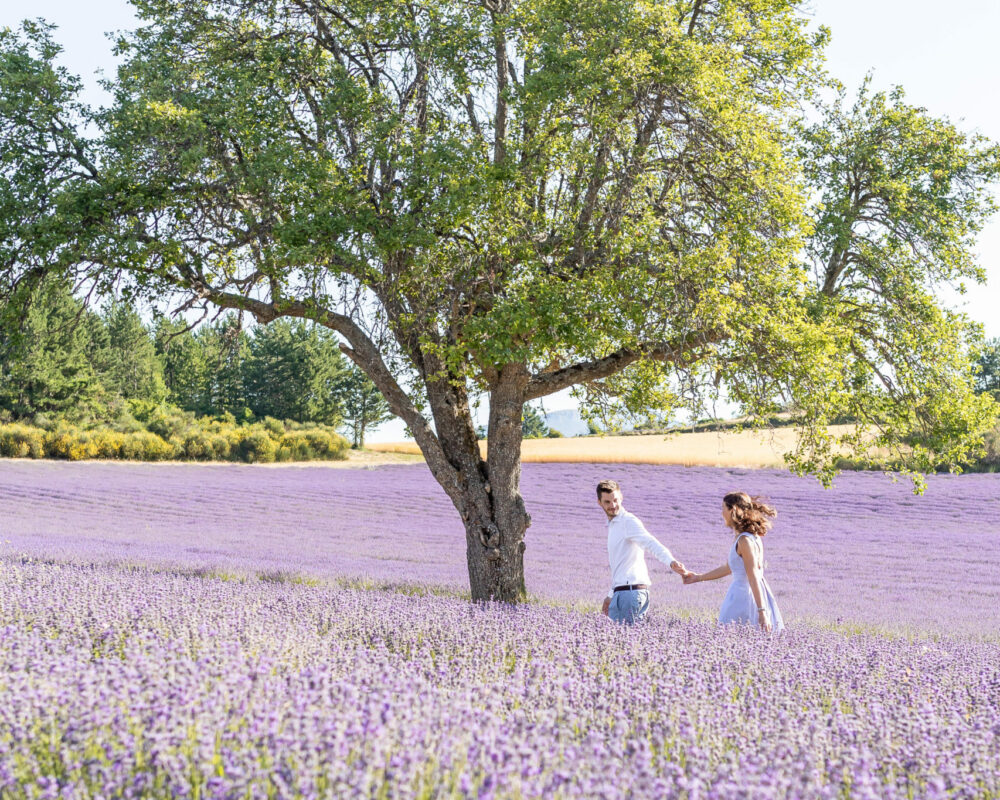Engagement photo session in the lavender fields in Sault, Provence, France by photographer Marie Calfopoulos