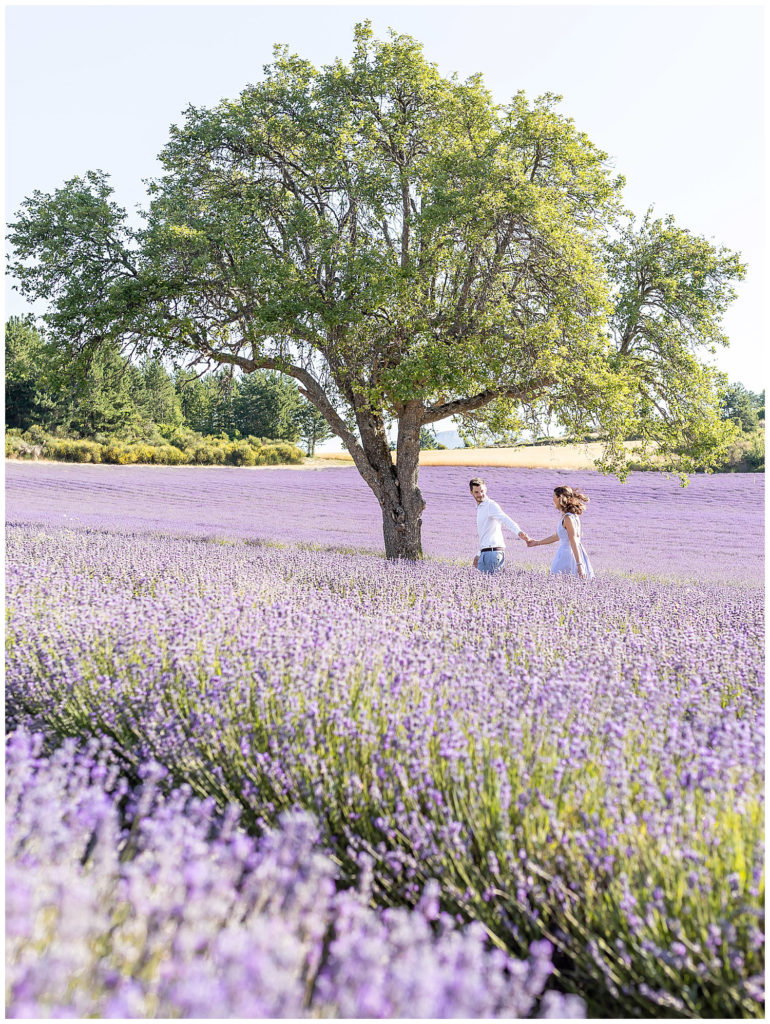 Une séance photo de couple dans les champs de Lavande de Provence à Sault et Aurel, Vaucluse