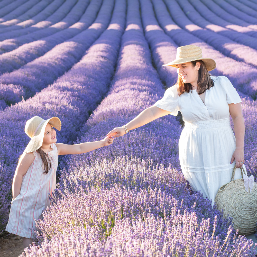 Lavender fields of Provence photo session